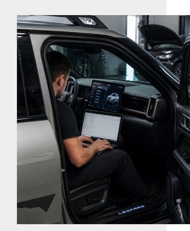 Русификация BYD Leopard 3 в Ахтубинске по цене от 20606 р. | ФастМобиль-Хтб